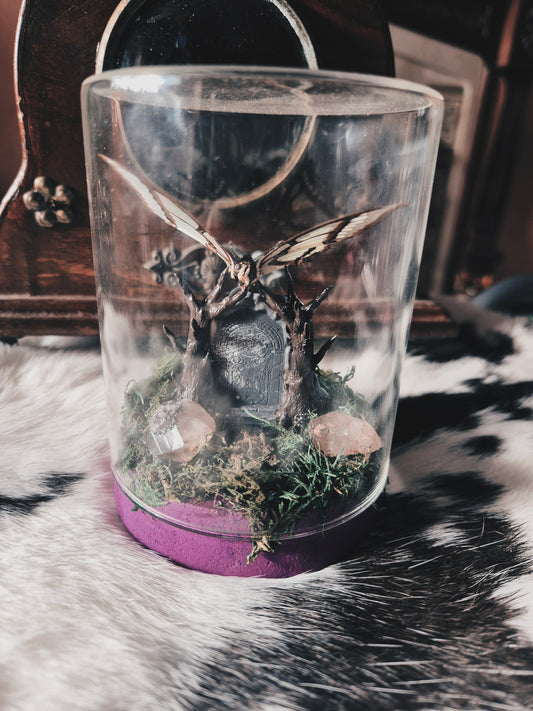 Common Nawab and Gates of Moria