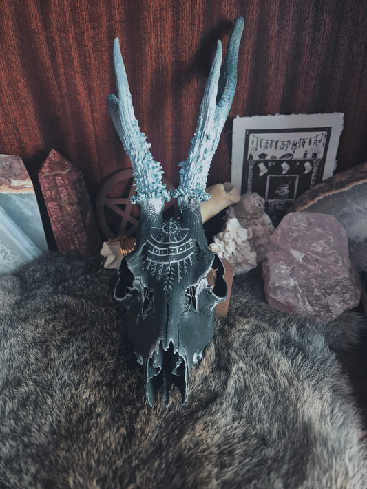 Runic Painted Roe Deer Skull