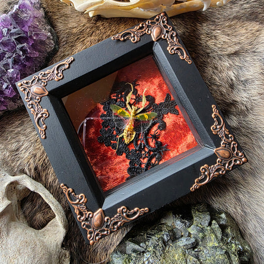 Jeweled Flower Mantis Frame