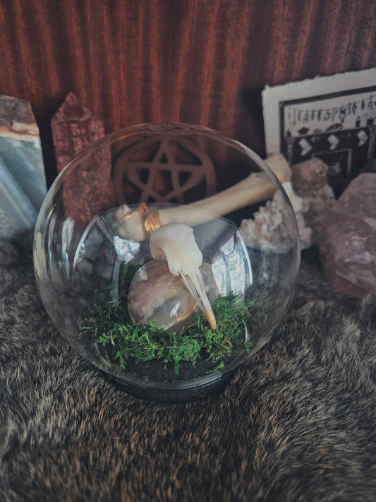 Pigeon Skull Dome