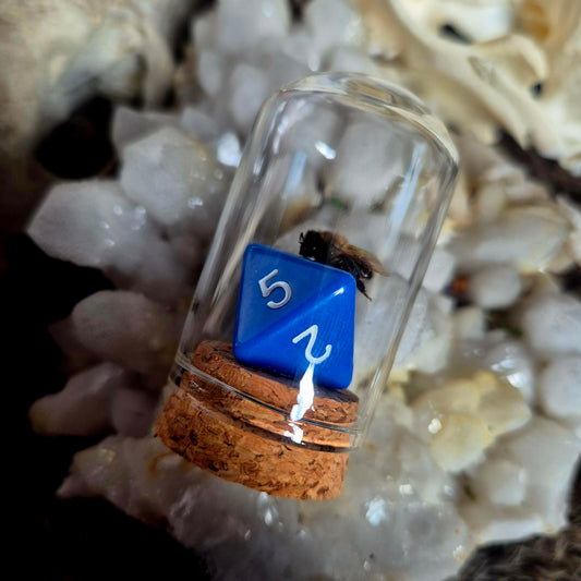 D&D Dice Bee Dome