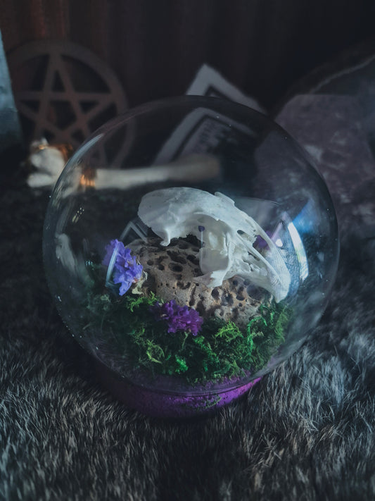 Rabbit Skull Dome