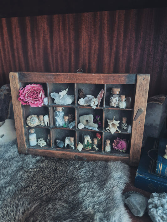 Curio Shelf