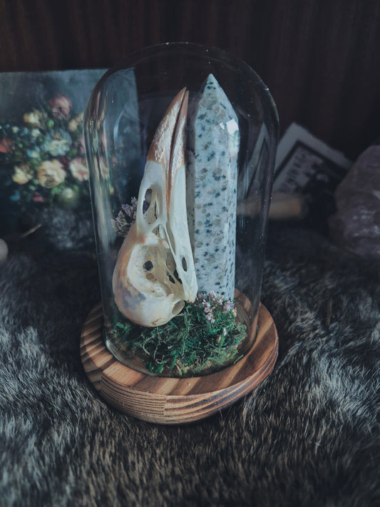 Crow Skull Dome