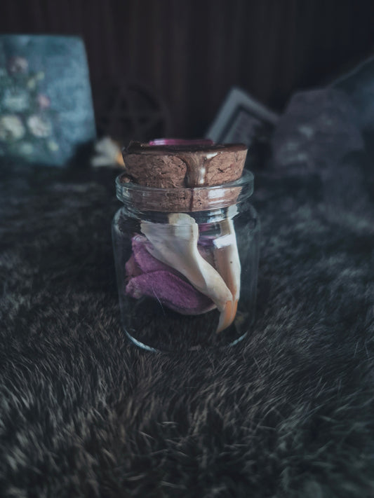 Squirrel Jaws Jar