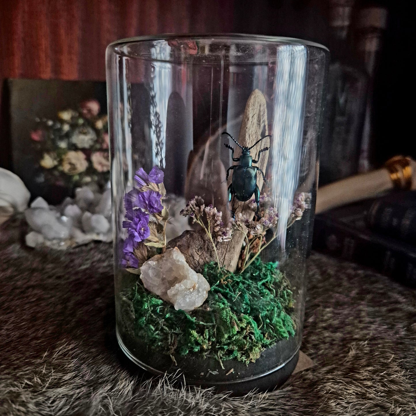 Sagra Fermoralis Green Beetle Jar