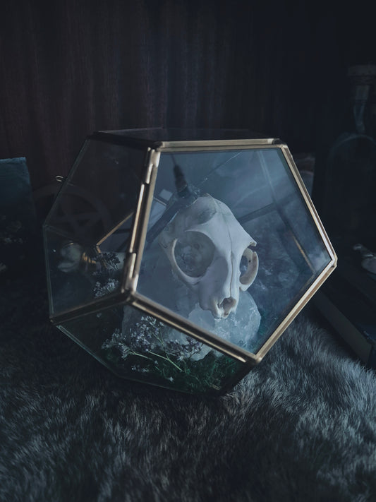 Cat Skull Statement Piece