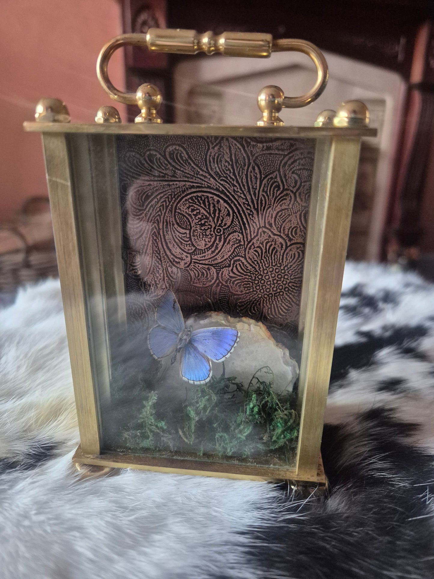 Adonis Butterfly Clock