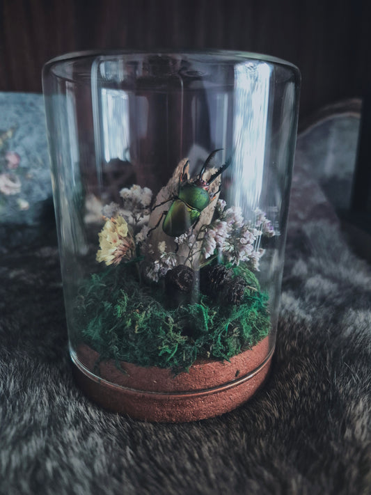 Green Jaw Beetle Dome