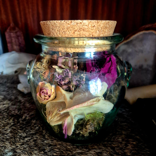 Large Curio Jar