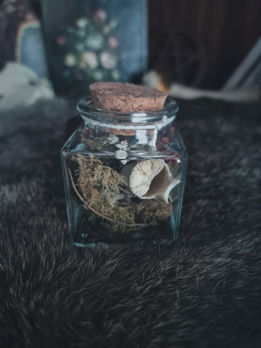 Square Curio Jar