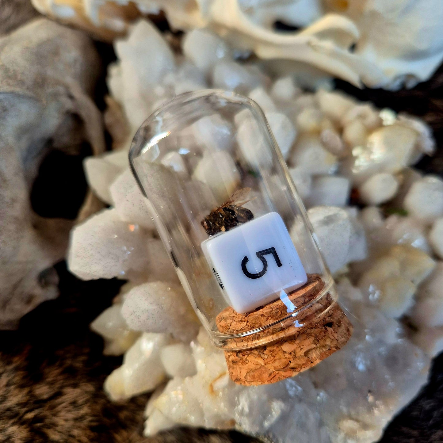 D&D Dice Bee Dome