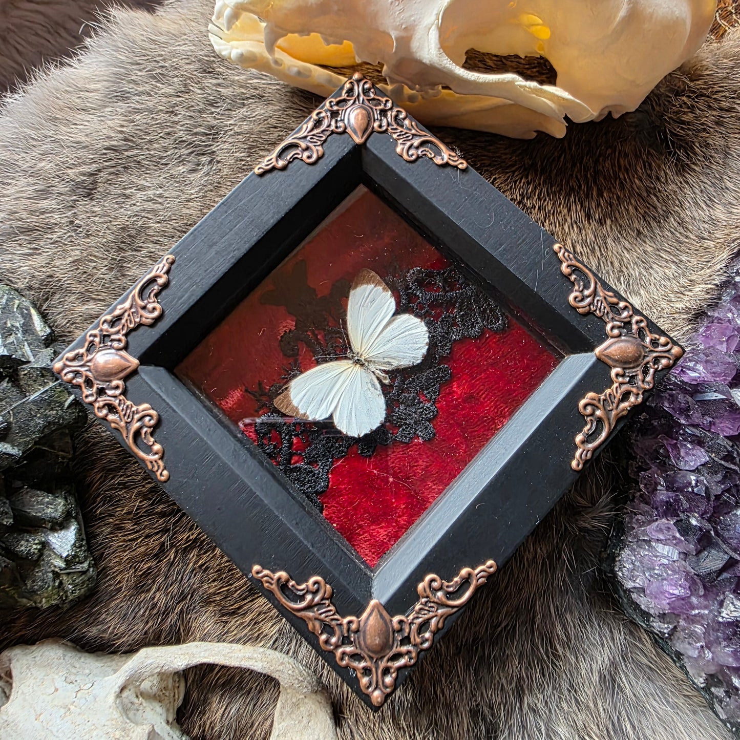 Mottled Emigrant Frame