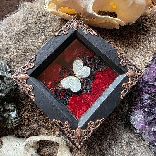 Mottled Emigrant Frame