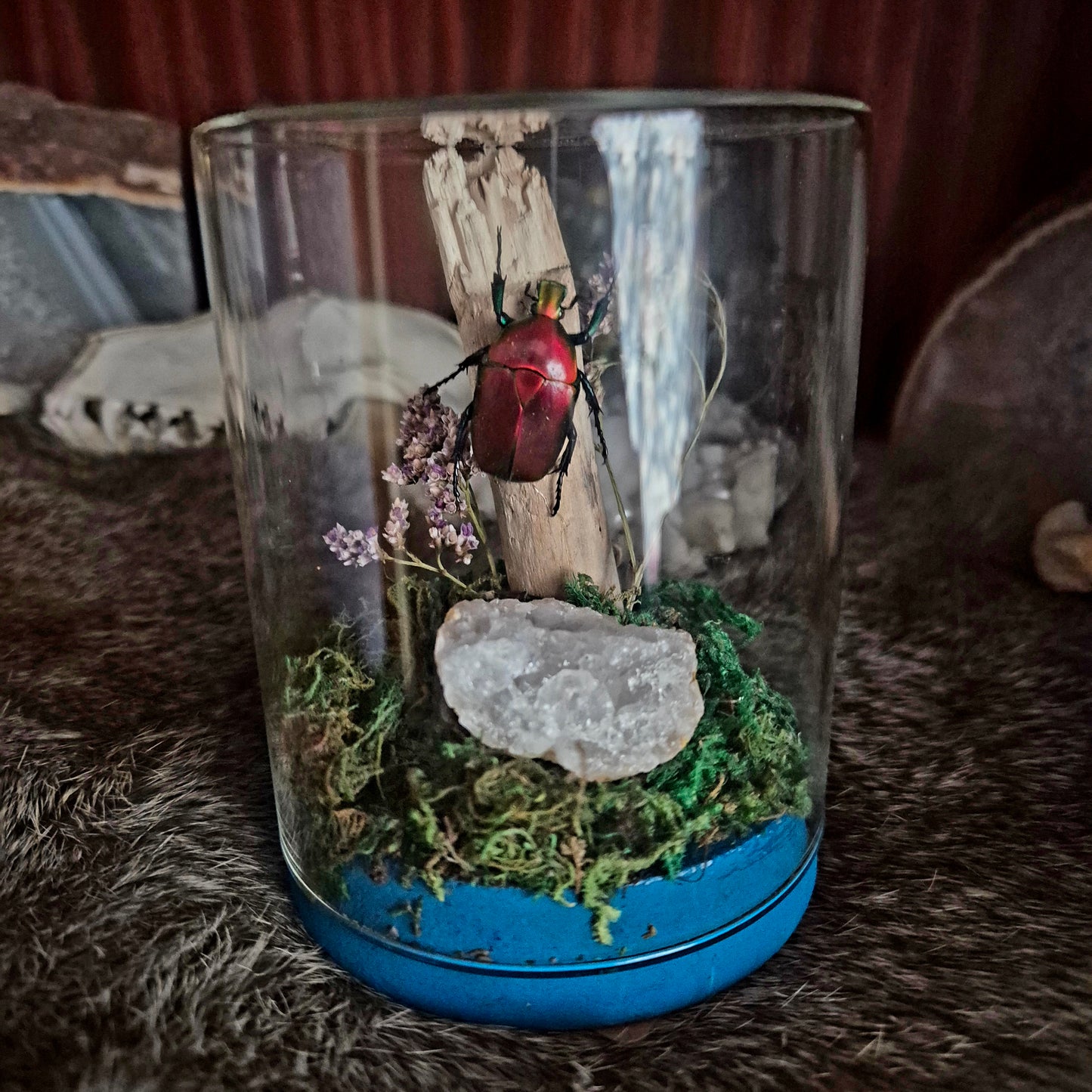 Shiny Red Flower Beetle Jar