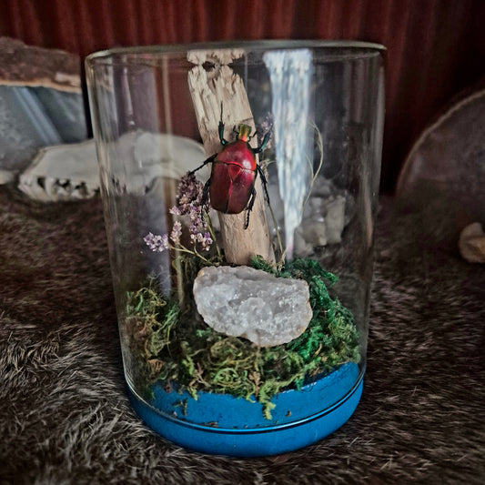 Shiny Red Flower Beetle Jar