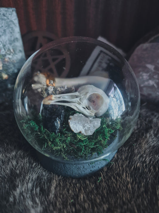 Pigeon Skull Dome