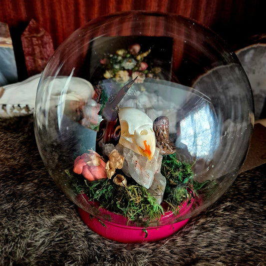 Parakite Skull and Butterfly Bubble Dome