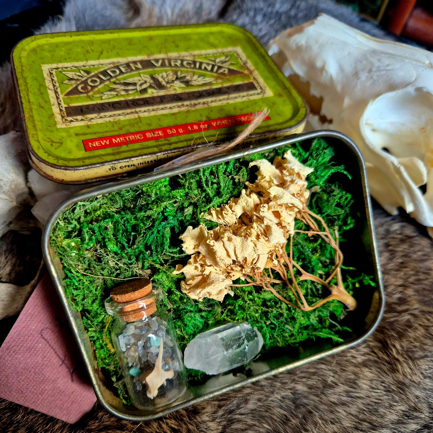 Curio Tin