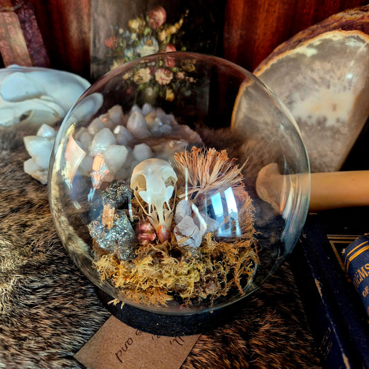 Partridge Skull Bubble Dome