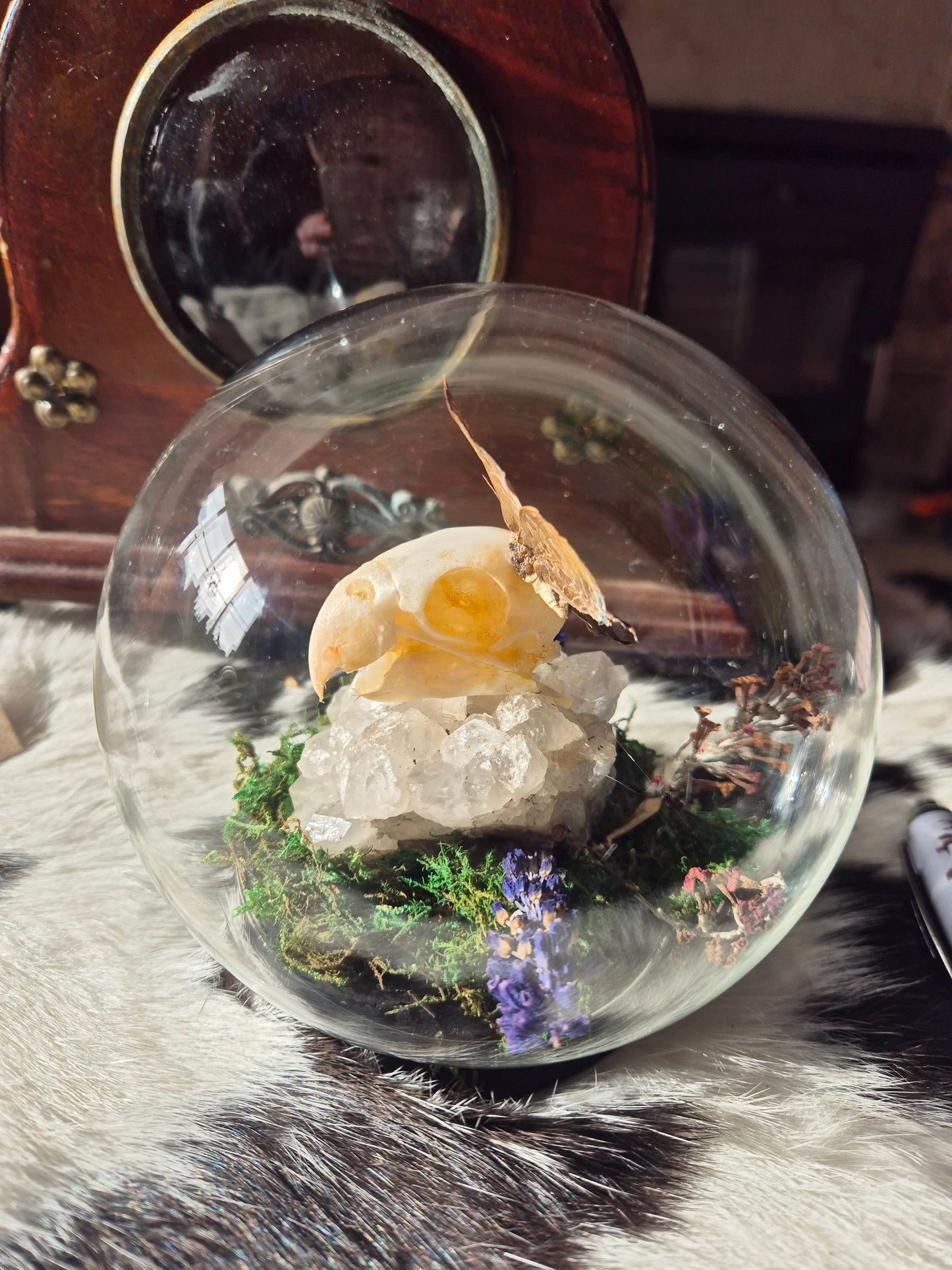 Parakite Skull and Centaur Oakblue