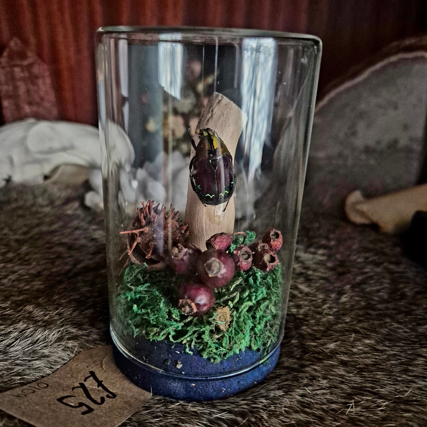 Orange and Black Flower Beetle Jar