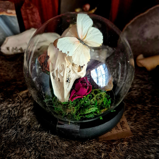 Rabbit Skull and Butterfly Bubble Dome