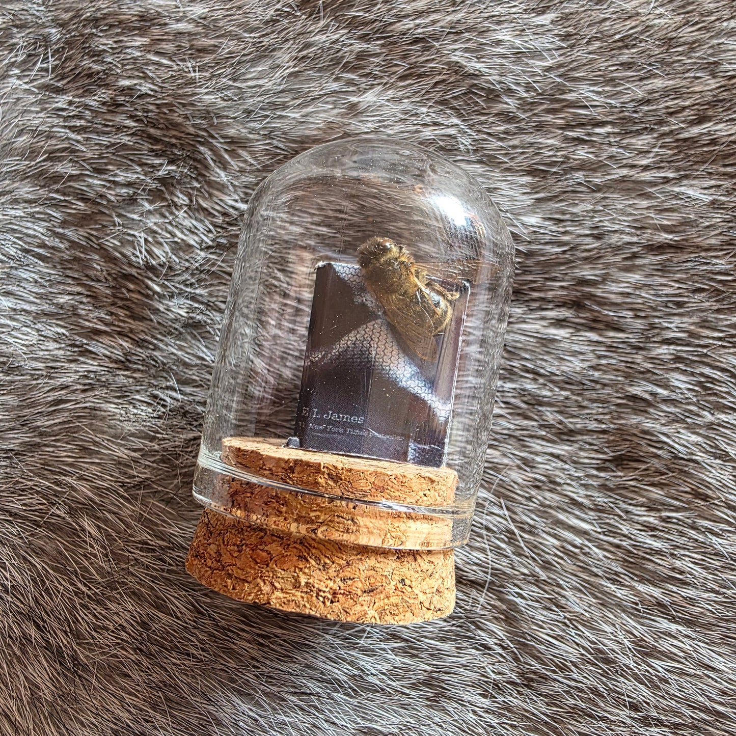 Book Bee Dome