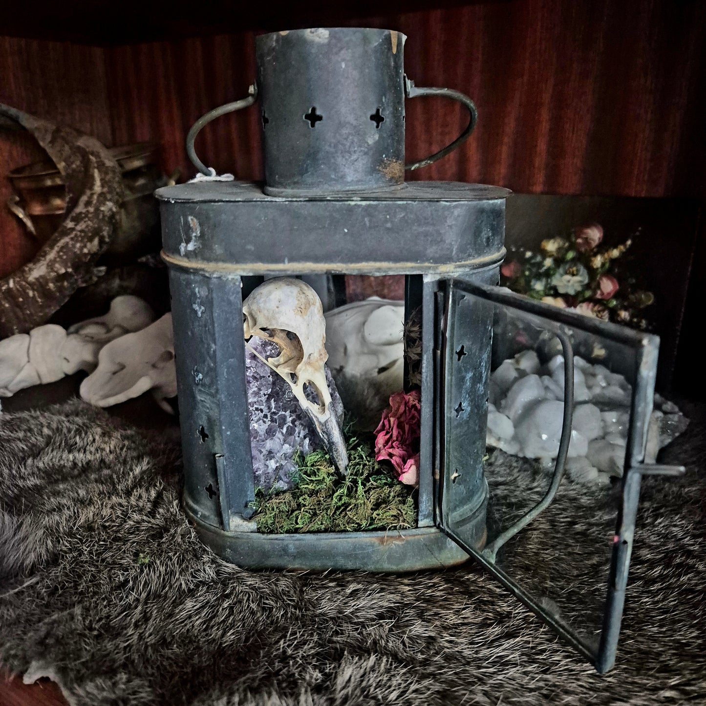 Crow Skull Lantern