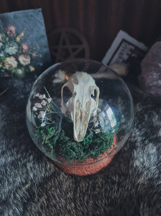Rabbit Skull Dome