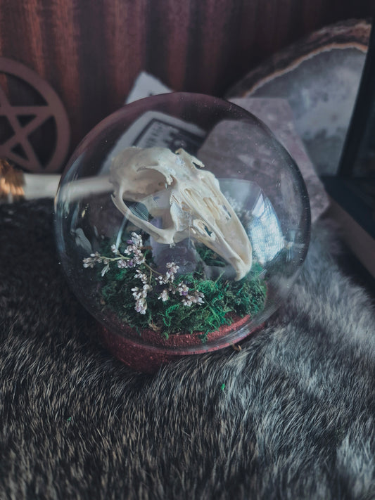 Rabbit Skull Dome
