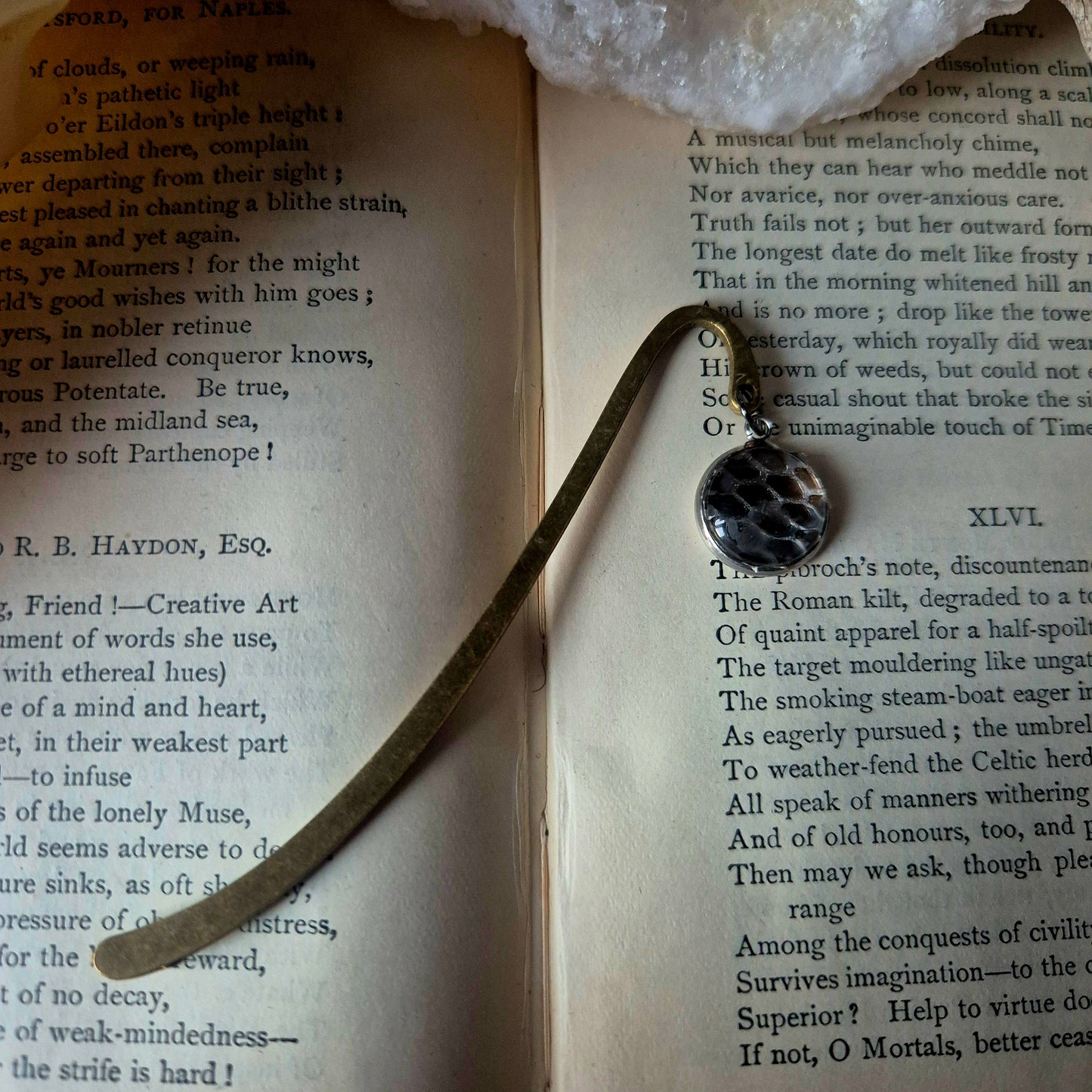 Snake Skin Bookmark