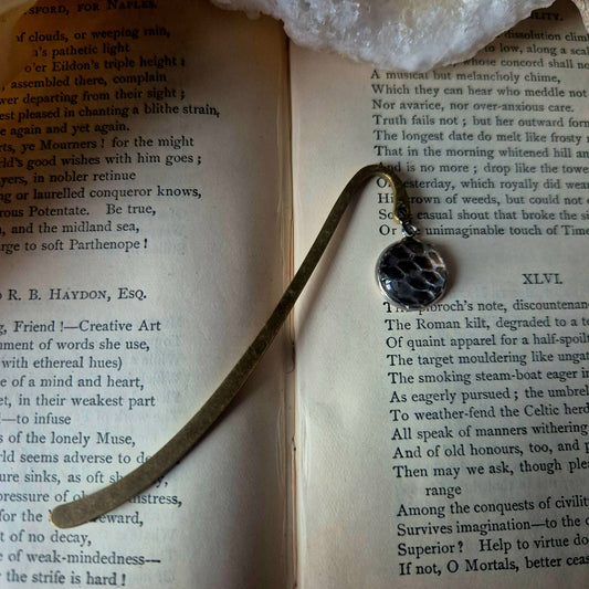 Snake Skin Bookmark