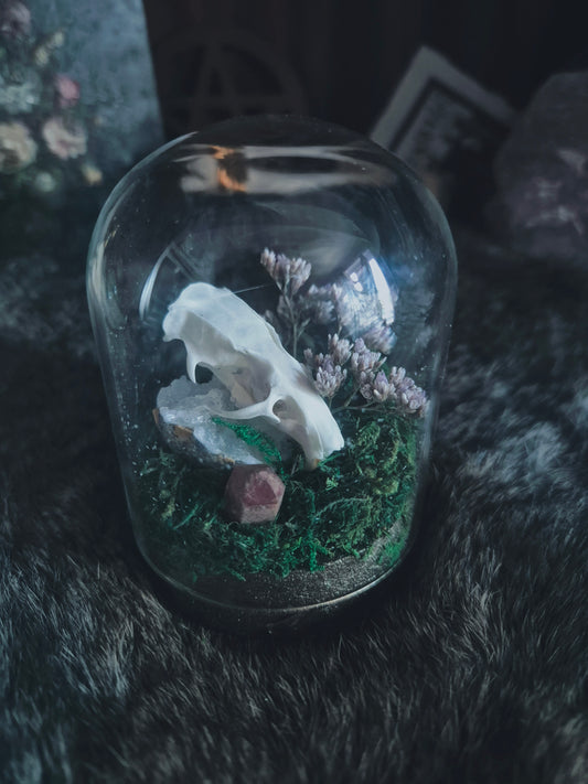 Rat Skull Dome