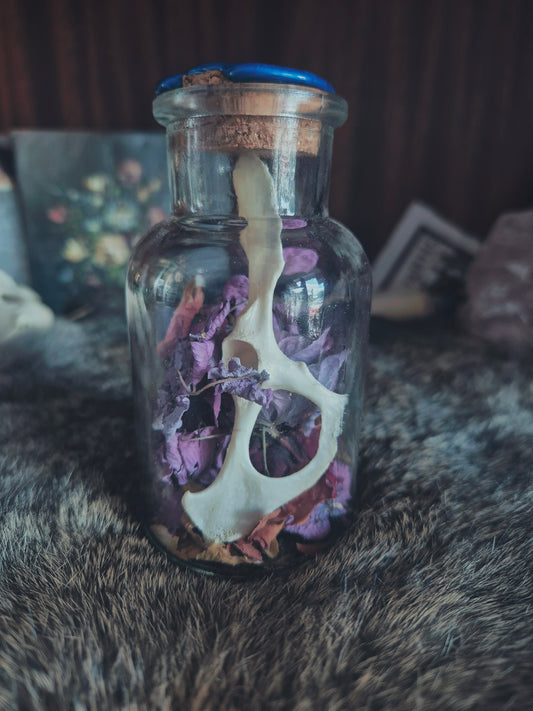Hare Pelvis Jar