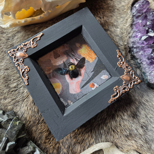 Carpenter Bee Frame