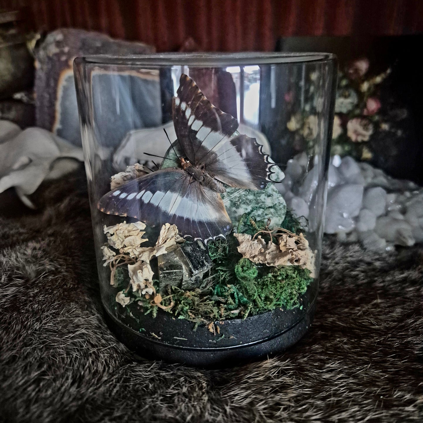 Butterfly and Tree Agate Jar