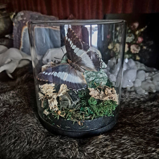 Butterfly and Tree Agate Jar
