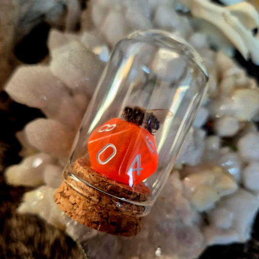 D&D Dice Bee Dome