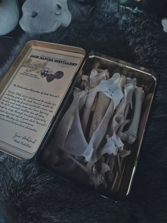 Bone Tin