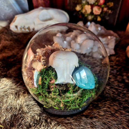 Partial Crow Skull Bubble Dome