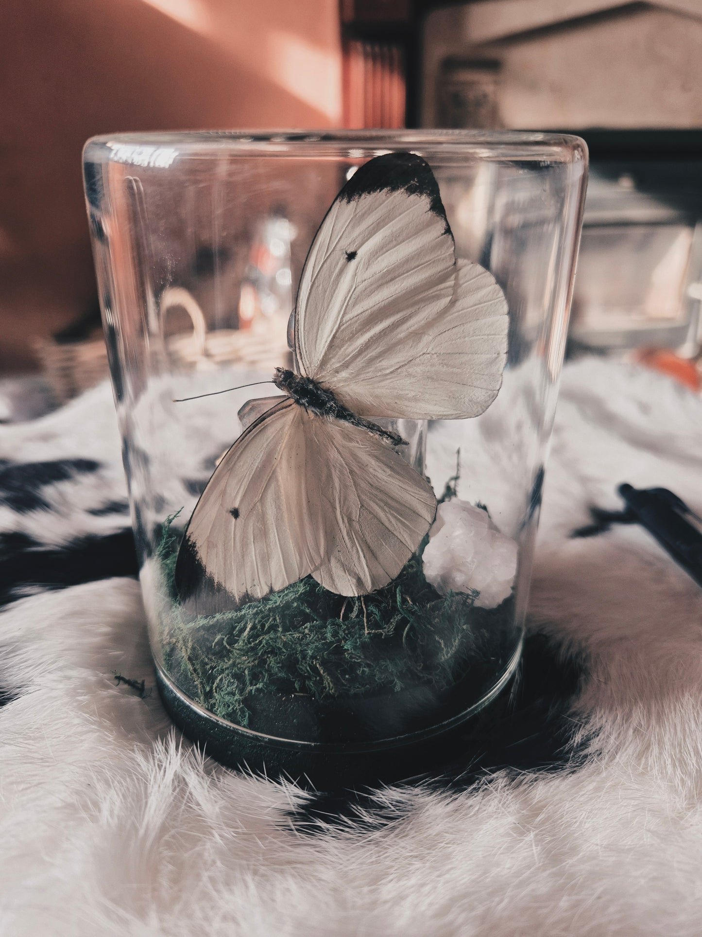 Cabbage White and Purfume Bottle