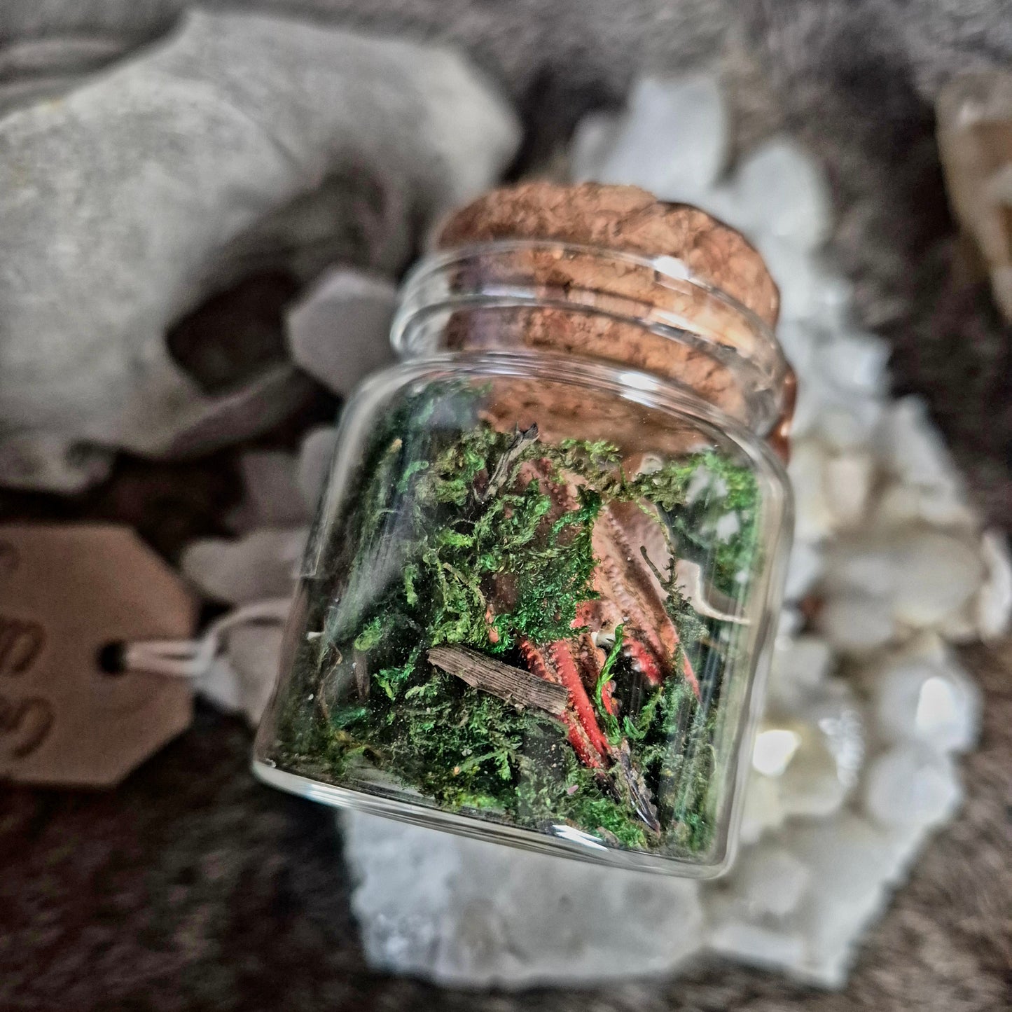 Crab Claw Jar