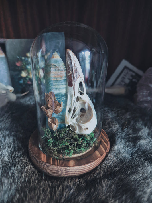 Crow Skull Dome