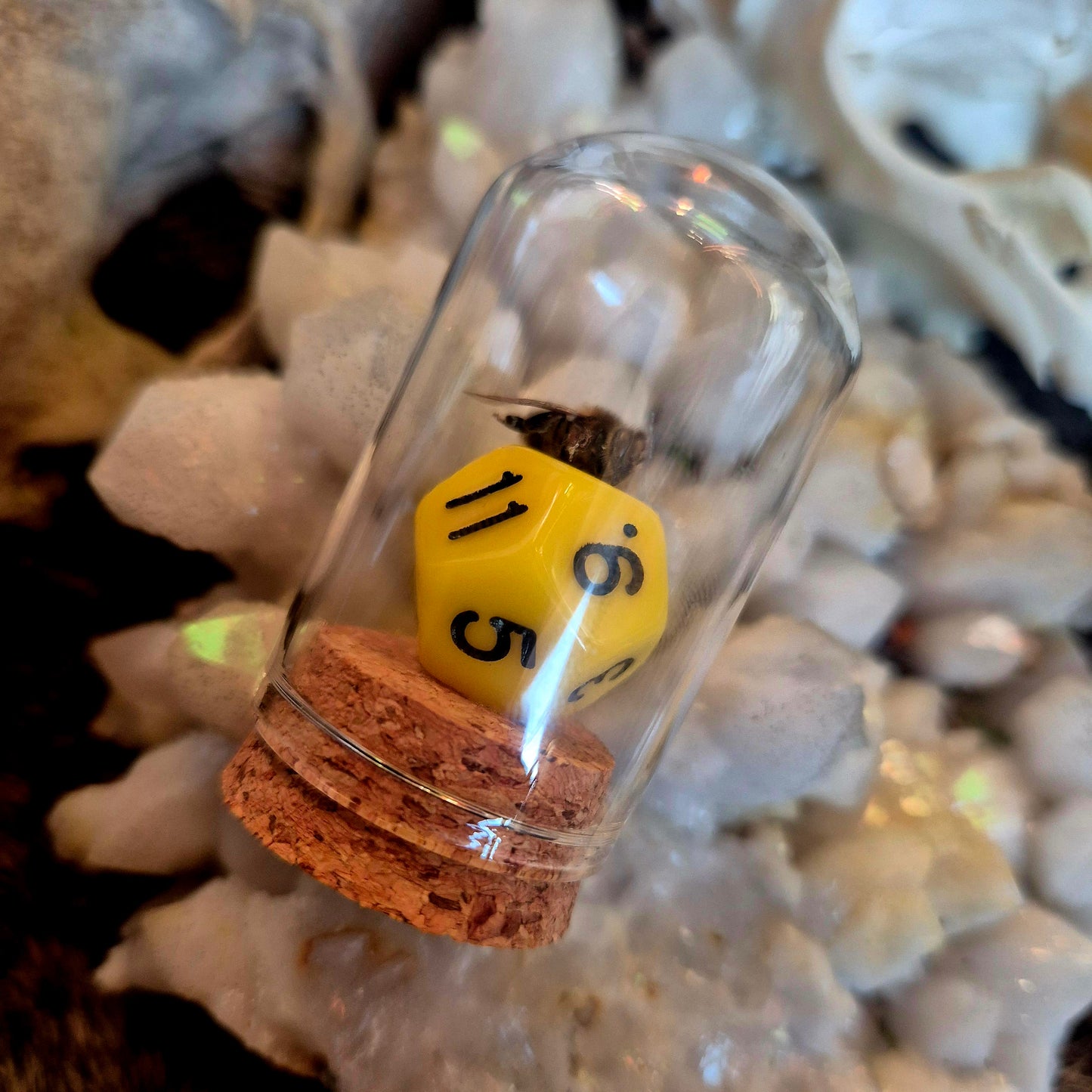 D&D Dice Bee Dome