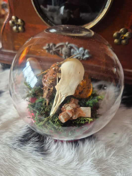 Pigeon Skull and Marsh Fritillary