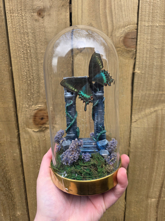 Alpine Black Swallowtail Dome