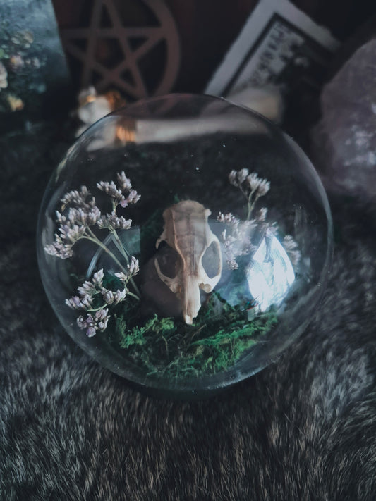 Rat Skull Dome