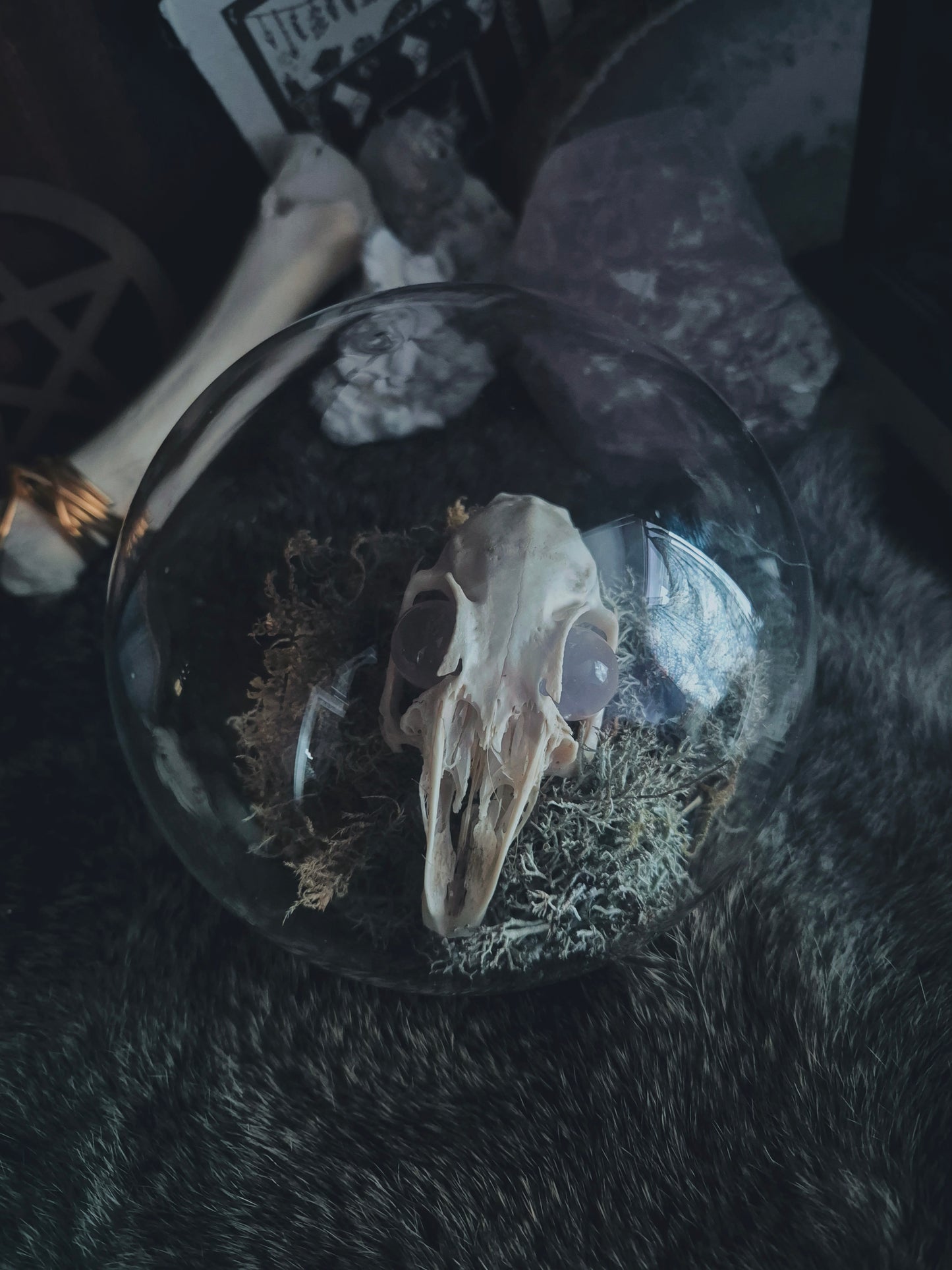 Rabbit Skull Dome