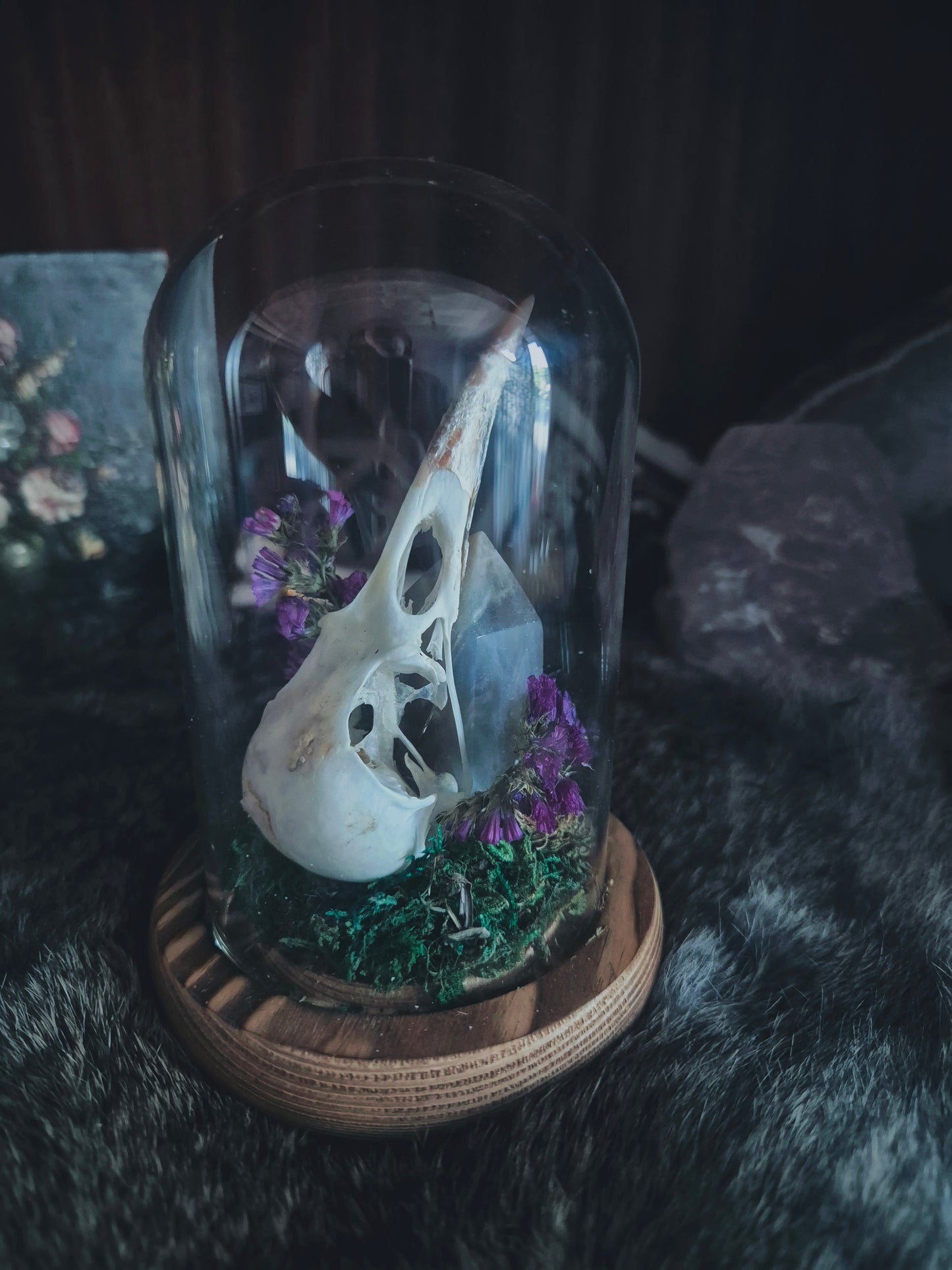 Crow Skull Dome